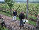 Chateau Brlescaille
